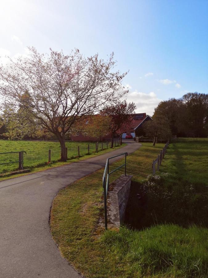 Am Waldrand Leilighet Schuettorf Eksteriør bilde